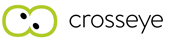 Logo crosseye Marketing Logo Leitidee